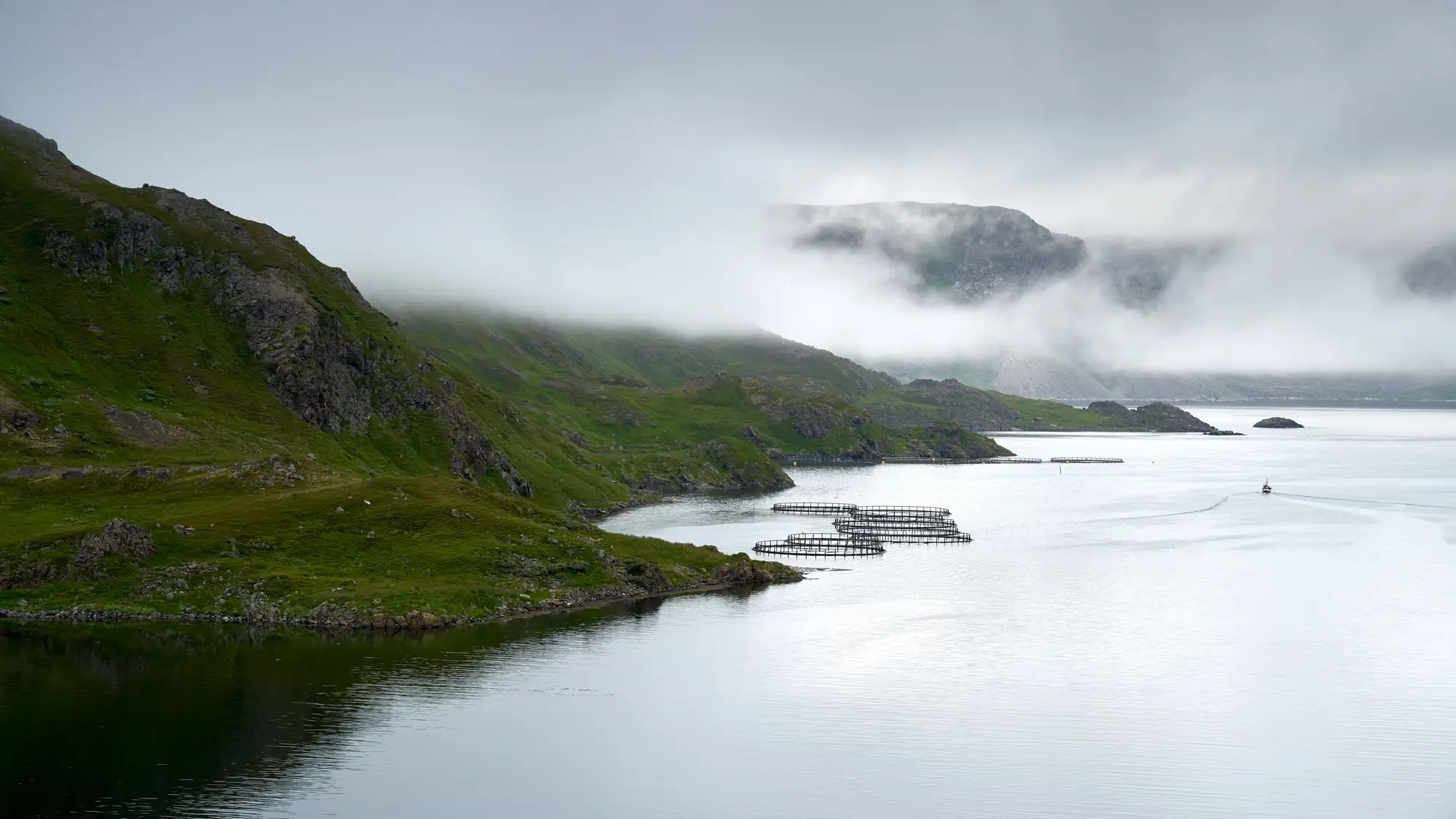 A small fish farm in a fjord with low cloud and mist over the hills