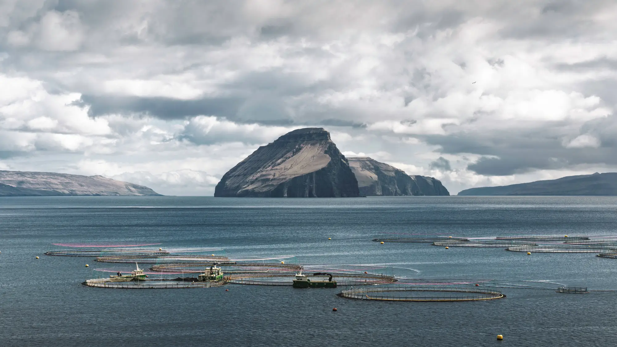 Round fish pens moored in open water below a steep island under heavy cloud